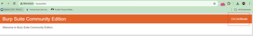 burp suite certificate